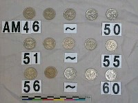 藏品(澳洲五分硬幣)的圖片